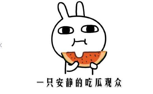 抖音以前的网红吃瓜事件,揭秘网络舆论背后的真相与争议 第2张 抖音以前的网红吃瓜事件,揭秘网络舆论背后的真相与争议 第2张